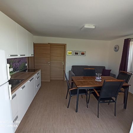 Summer Delight Apartments Savudrija Eksteriør bilde